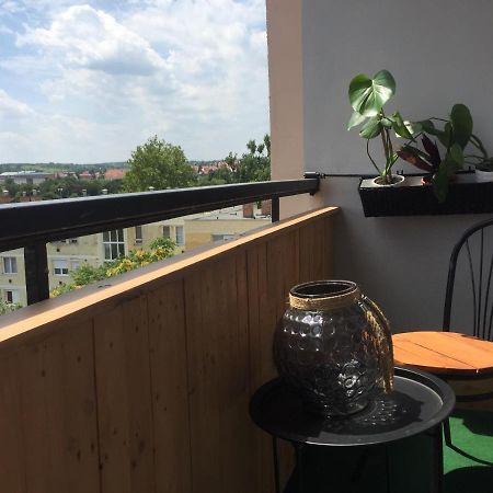 Deli Oldal Vendeghaz Apartment Eger Luaran gambar