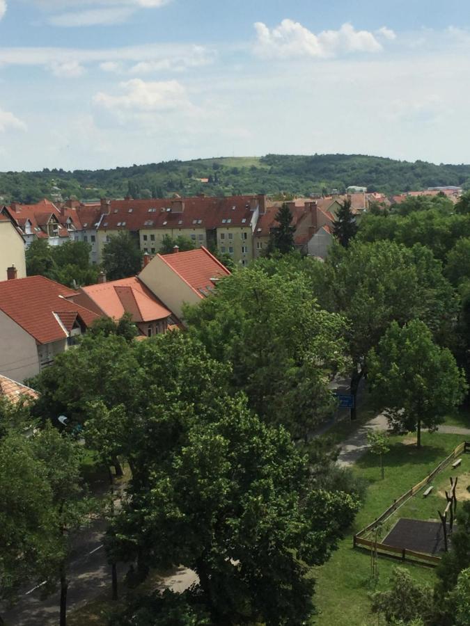 Deli Oldal Vendeghaz Apartment Eger Luaran gambar